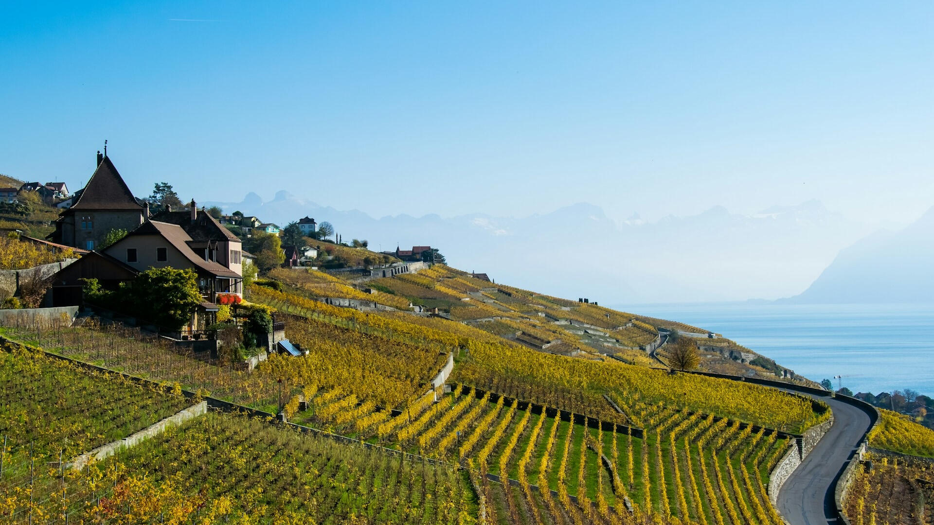 Vue sur les vignobles en terrasses de Lavaux, site inscrit au patrimoine mondial de l'UNESCO Vue sur les vignobles en terrasses de Lavaux, site inscrit au patrimoine mondial de l'UNESCO